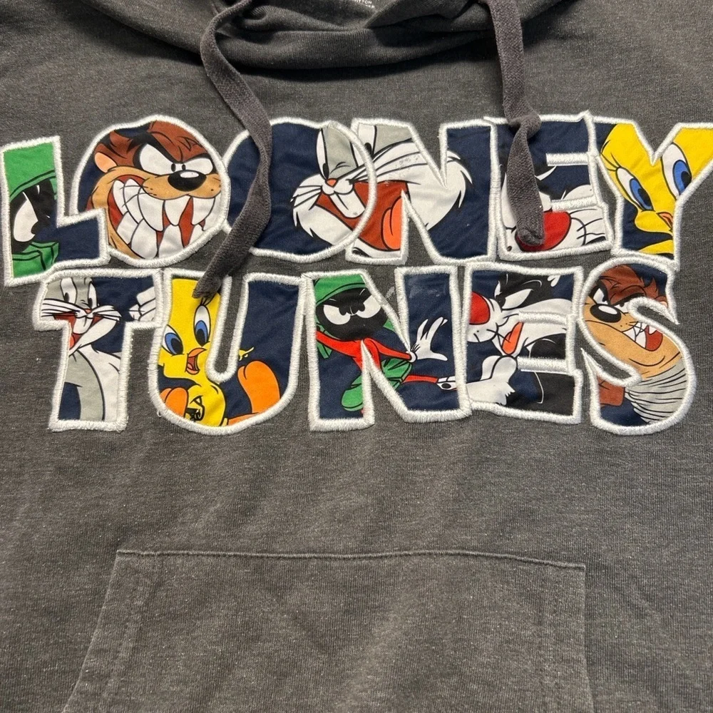 Six Flags Looney Tunes Hoodie – Size M – Charcoal Grey - Picture 2 of 3